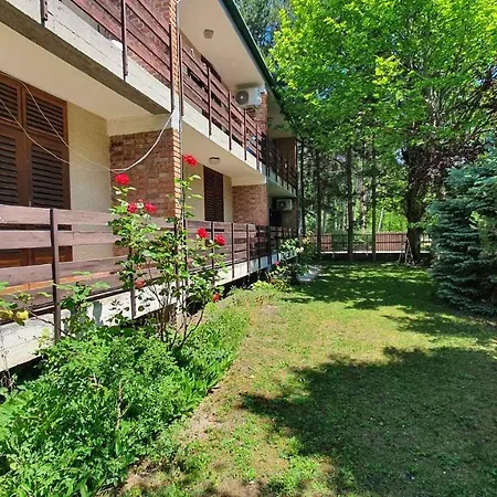In Siofok/balaton 30359