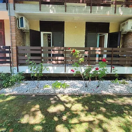 Apartment In Siofok/balaton 30359 *