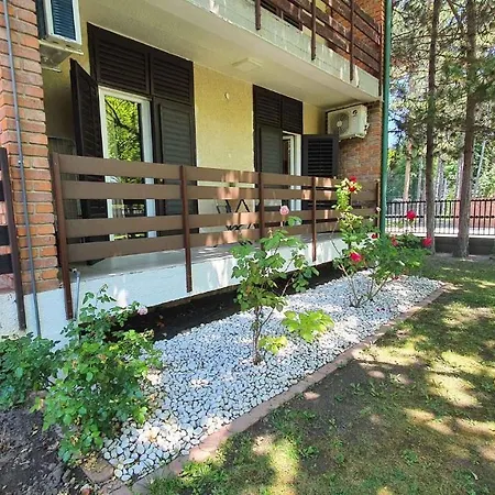 In - Balaton 30359 * Σίοφοκ